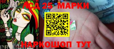 спиды Обь