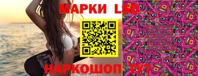 спиды Обь