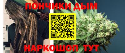 спиды Обь
